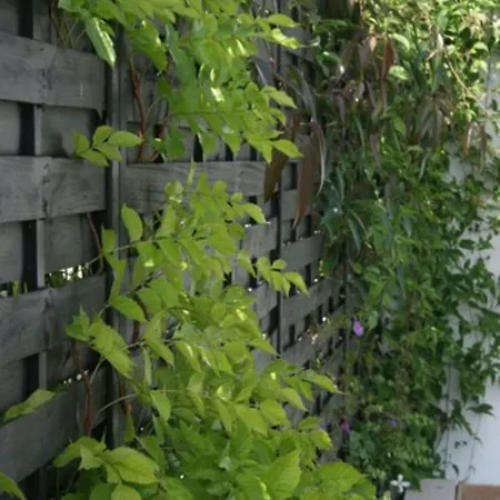 Kathome Bed & Breakfast Bondues