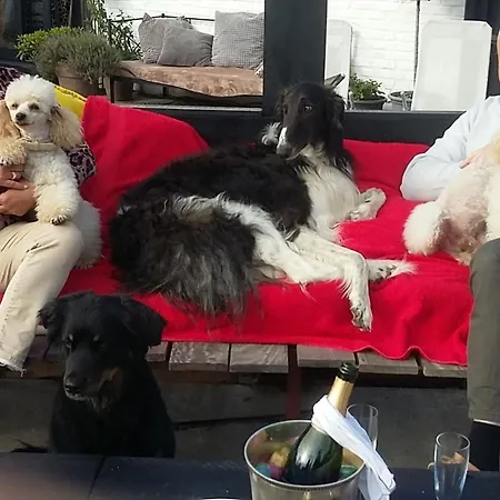 Kathome Bed & Breakfast 3*