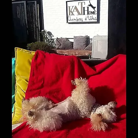 Kathome Bed & Breakfast 3*