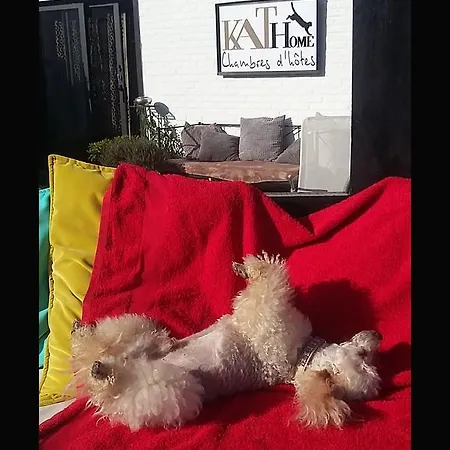 Bed & Breakfast Kathome