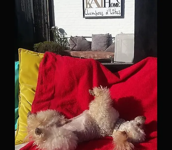 Bed & Breakfast Kathome